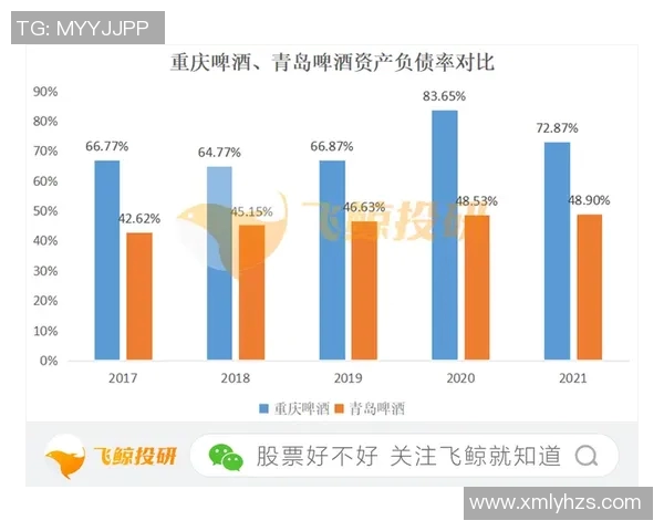 广州篮球队实力深度解析与对手力量全面对比分析 广州篮球队实力深度解析与对手力量全面对比分析