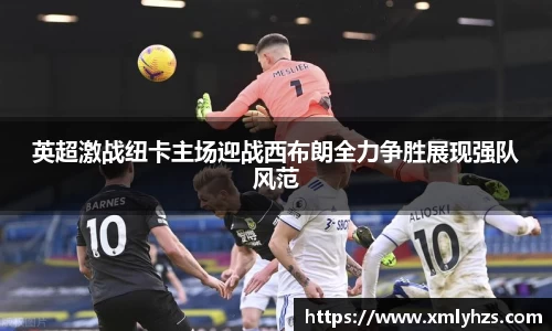 熊猫体育官网