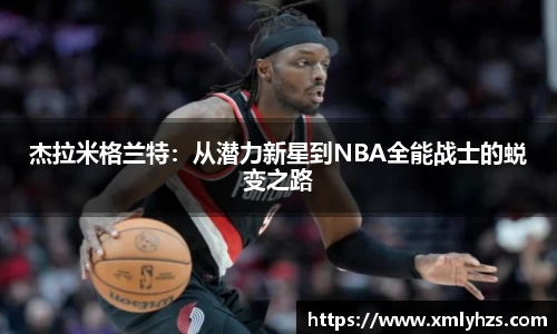 熊猫体育
