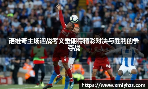 熊猫体育